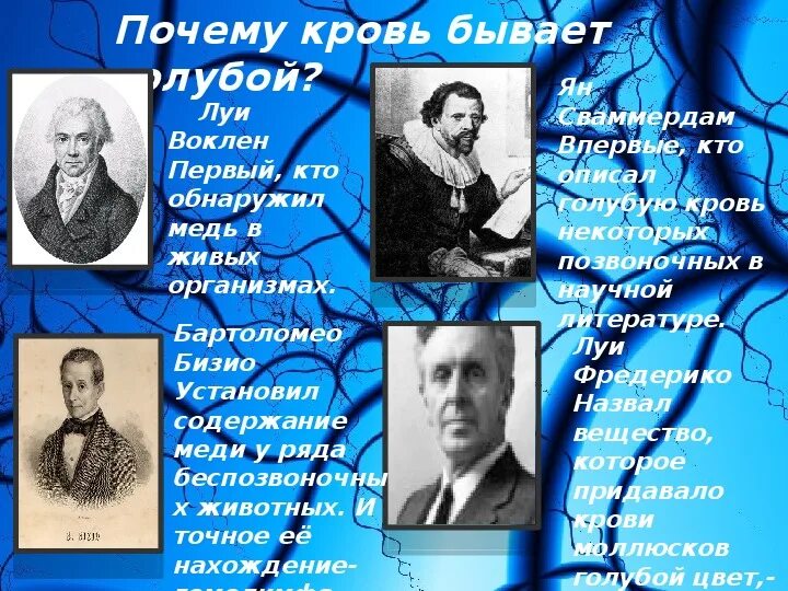 Откуда выражение голубых кровей