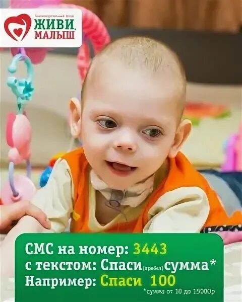 Живи малыш отзывы