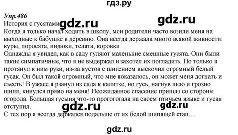 Упражнение 486 по русскому языку 5 класс