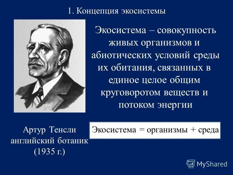 термин экосистема был