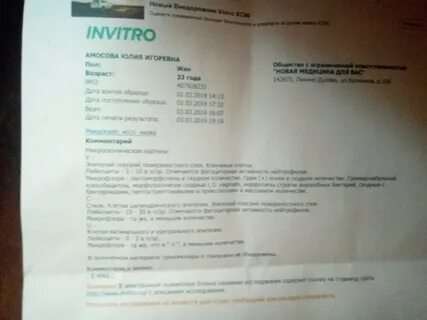 Инвитро узи головы