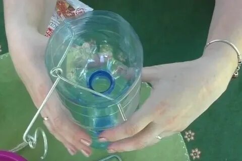 Как сделать бутылки ловушку