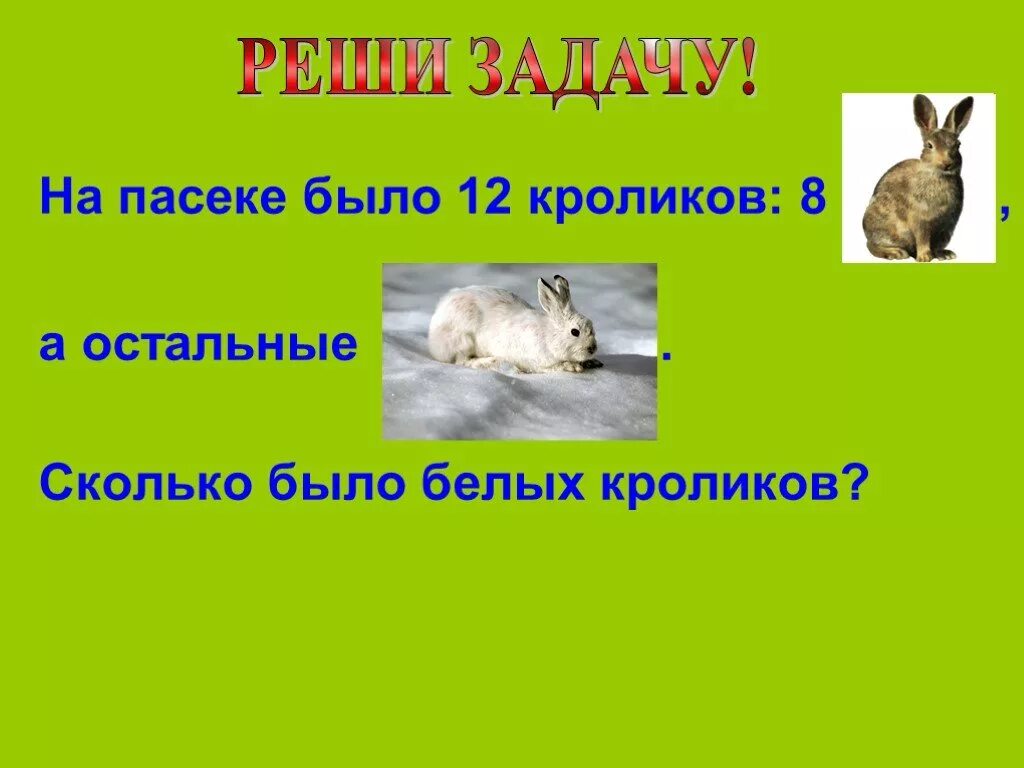 Было 12 кроликов. Было 12 кроликов 8 черных а остальные белые сколько было белых. Было 12 кроликов 8 черных. Было 12 кроликов и 8 задачу.