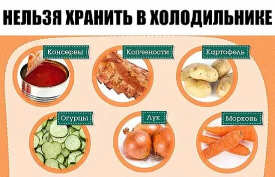 Вареную свеклу можно хранить в холодильнике. Что запрещается хранить в холодильнике. Какие продукты нельзя хранить в холодильнике. Какие продукты не хранят в холодильнике. Хранение моркови в холодильнике.
