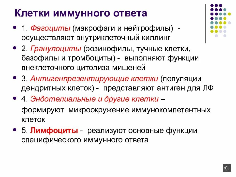 Функции клеток иммунного ответа. Иммунокомпетентные клетки иммунной системы. Иммунокомпетентные клетки фагоциты и. Функции клеток иммунитета. Иммунные клетки макрофаги