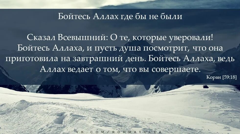 Бойтесь всевышнего. Бойтесь Аллаха. Бойся Аллаха. 59 19 Коран. Бойся Аллаха где бы.