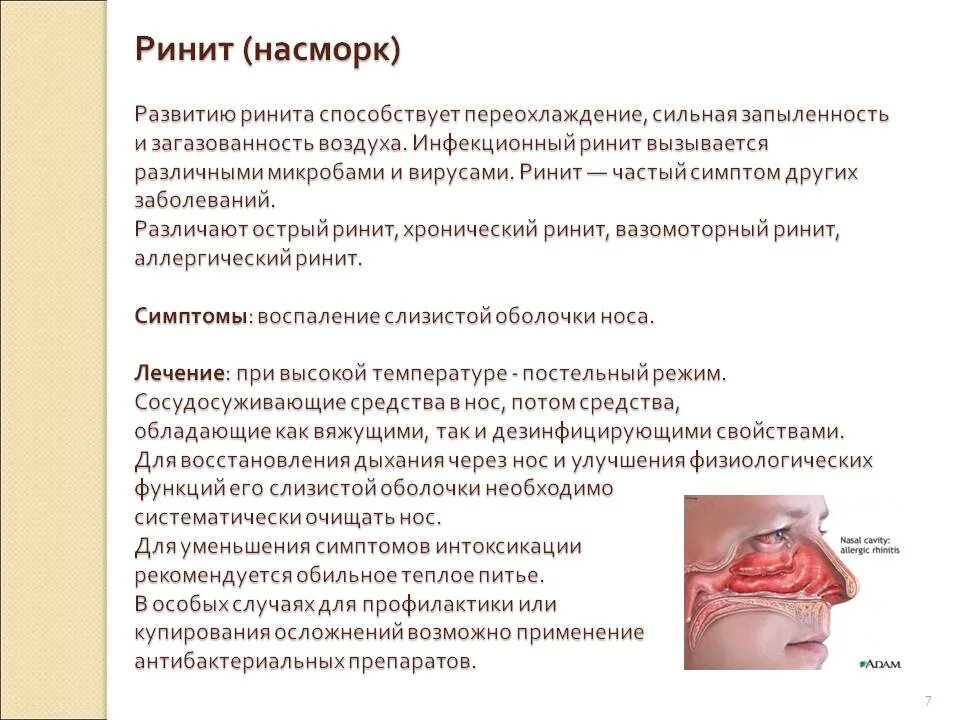 Нос заболевание насморк. Симптомы острого ринита. Rinito. Хронический ринит симптомы.