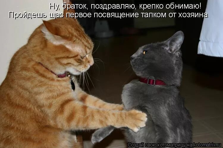 обнимаю крепко. обнимаю тебя крепко любимый. люблю целую обнимаю скучаю. обними меня картинки. ты меня найдешь крепко крепко обнимаю.