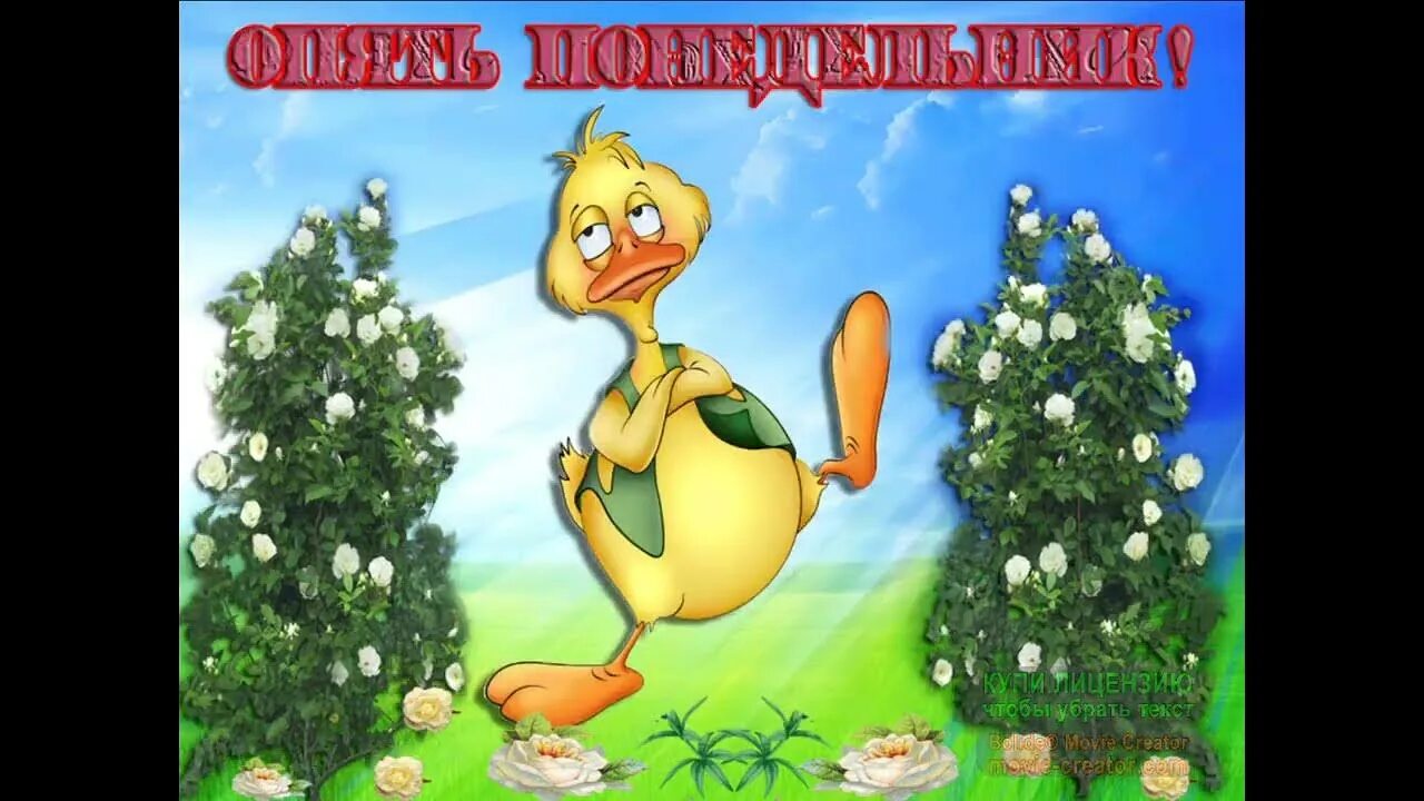И опять добрый день. И опять добрый день