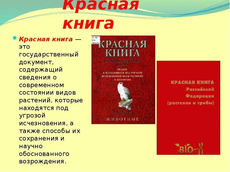 Образцы красной книги. Красная книга. Красная книга это определение. Красная книга книга. Информация о красной книге.