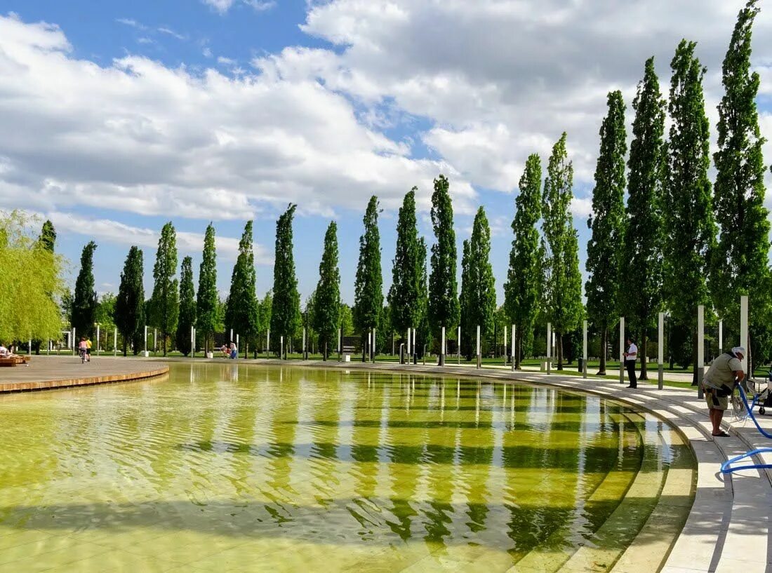 Дендропарк Баку. Экопарк Ялта. Парк Сосновый Краснодар. Парк сосны в Царицыно. Сайты парков россии