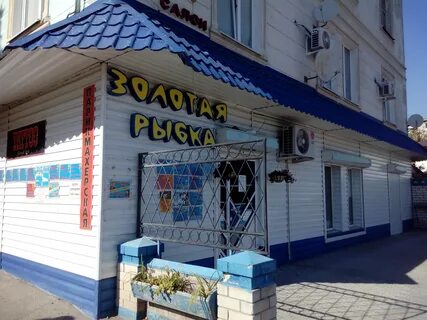 Золотая рыбка вольск
