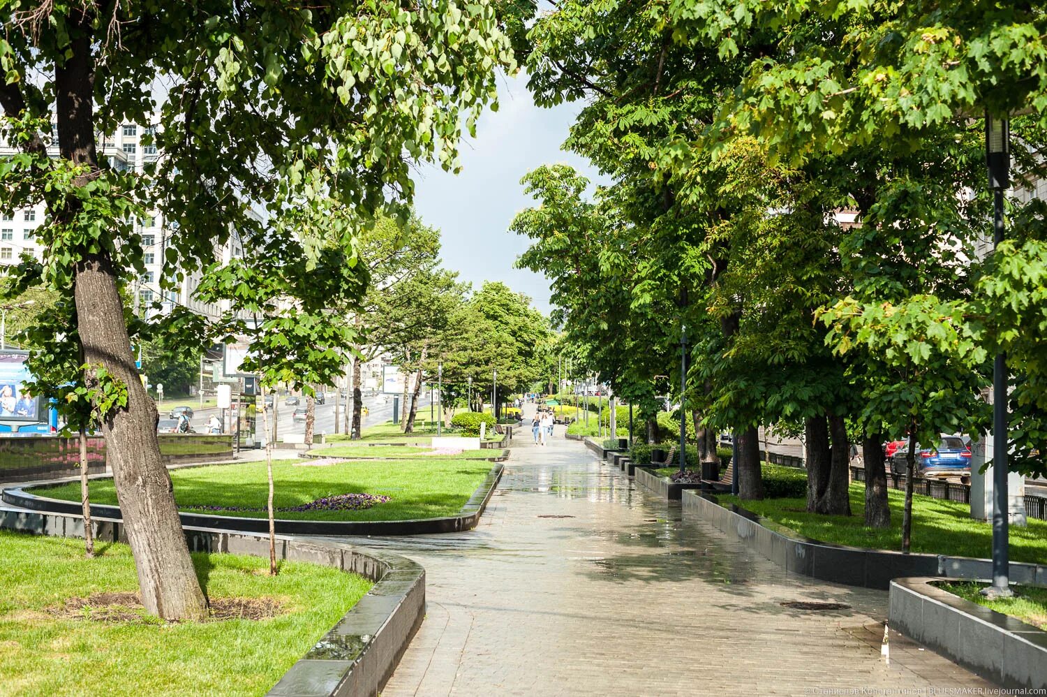 Сквер видео. Сквер ефросиньи московской. Сквер видео. Сквер видео. Сквер парк бульвар теодоровский.