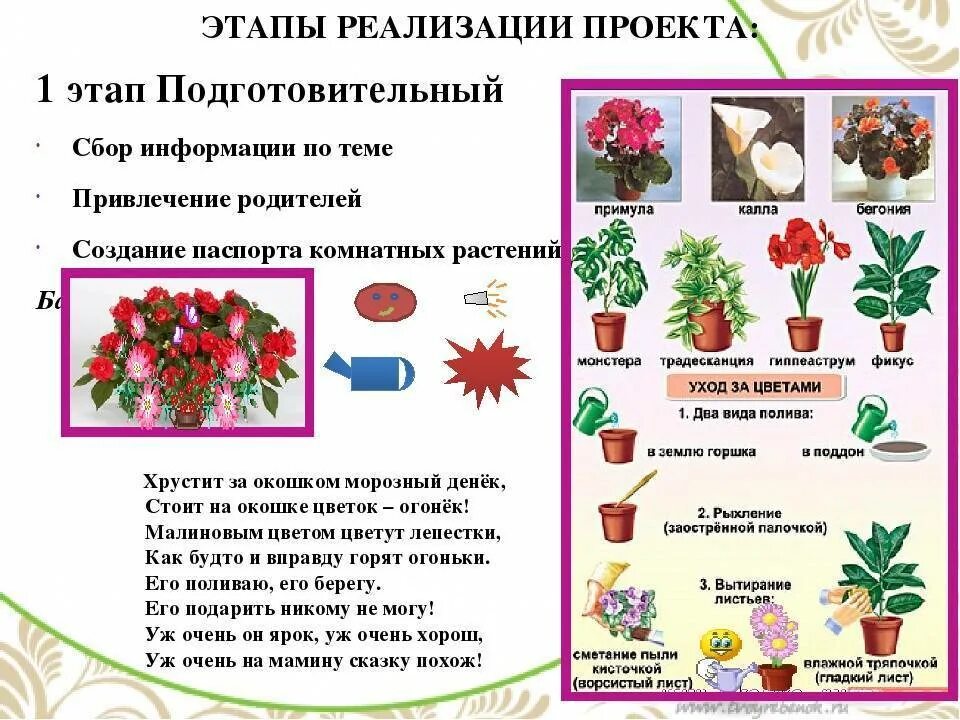 Конспекты уроков комнатными растениями. Растения в подготовительной группе. Комнатные растения для дошкольников. Проект на тему комнатные растения. Комнатные цветы старшая группа.