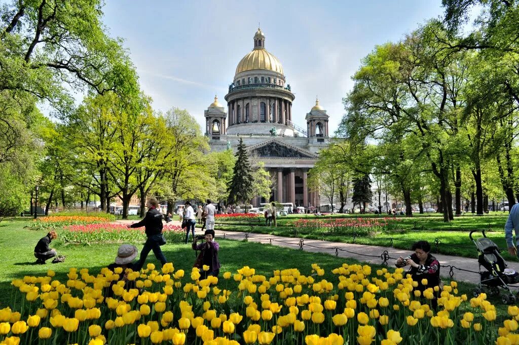 Какой будет май в санкт петербурге. Александровский сад Санкт-Петербург. Александровсций СВД Санкт Питер. Александровский сад СП.