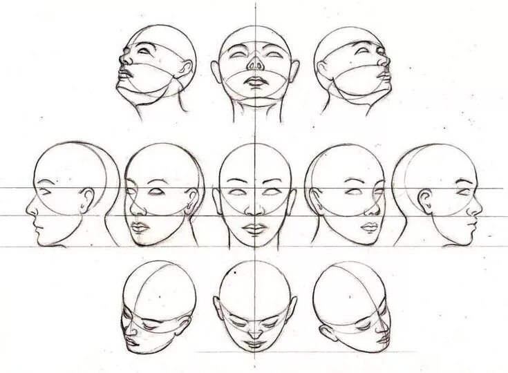 Head forms. Голова в разных ракурсах. Лицо с разных ракурсов. Голова человека в разных ракурсах. Ракурсы головы.
