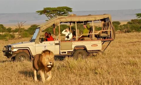 Mobile safari