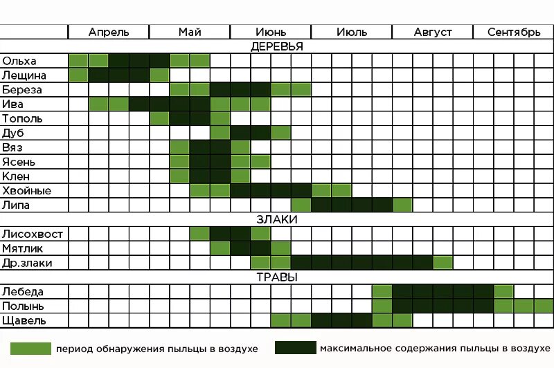 Карта пыльцы березы. Периоды цветения для аллергиков. Календарь пыления основных цветущих растений. Календарь аллергика. Карта пыльцы для аллергиков.