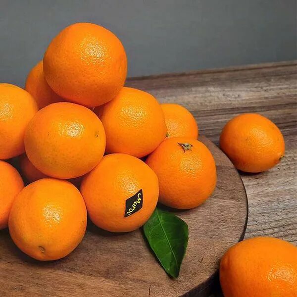Мандарин афурер марокко. Сорт мандаринов марокко. Мандарин афурер марокко. Мандарины марокко 1кг. Афурер сорт мандарин.