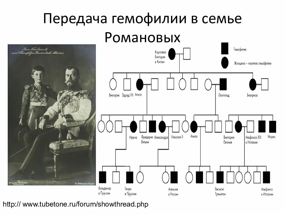 Рождение ребенка больного гемофилией. Родословная Романовых гемофилия. Генеалогическое Древо гемофилия Романовы. Генеалогическое дерево царской семьи Романовых по гемофилии. Родословная царской семьи гемофилия.