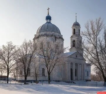 Село никольское воронежская область