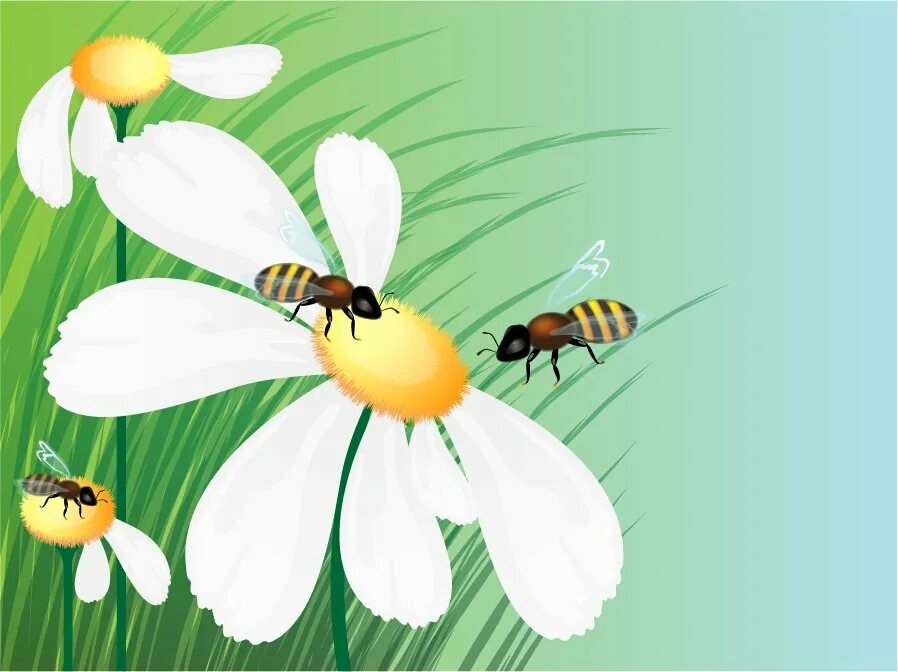 Нектар рисунок. Пчелка на цветочке. Пейзажс пчелкаии. Пчелки на Поляне. Поляна с цветами и пчелками.