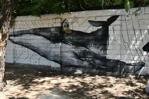 Кит астрахань