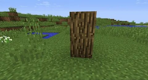 Totemic