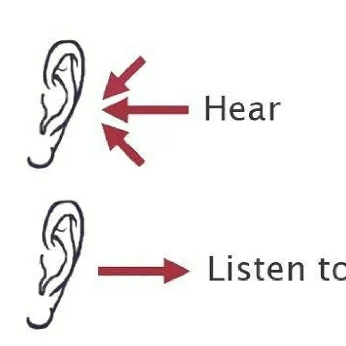 To watch to hear. Hear listen. To hear to listen разница. Глаголы hear/listen. Hear or listen разница.