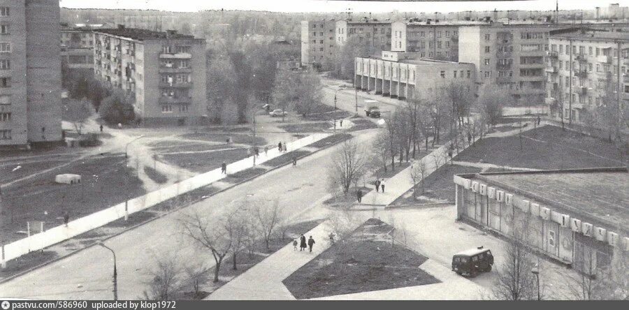 Город фрязино улицы. Город фрязино улицы. 15. Фрязино ленина 22 фото. Фрязино улица центральная.