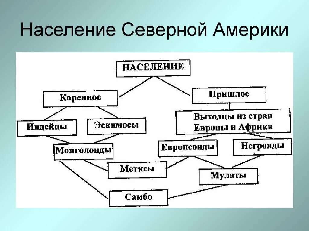 Урок население северной америки 7 класс