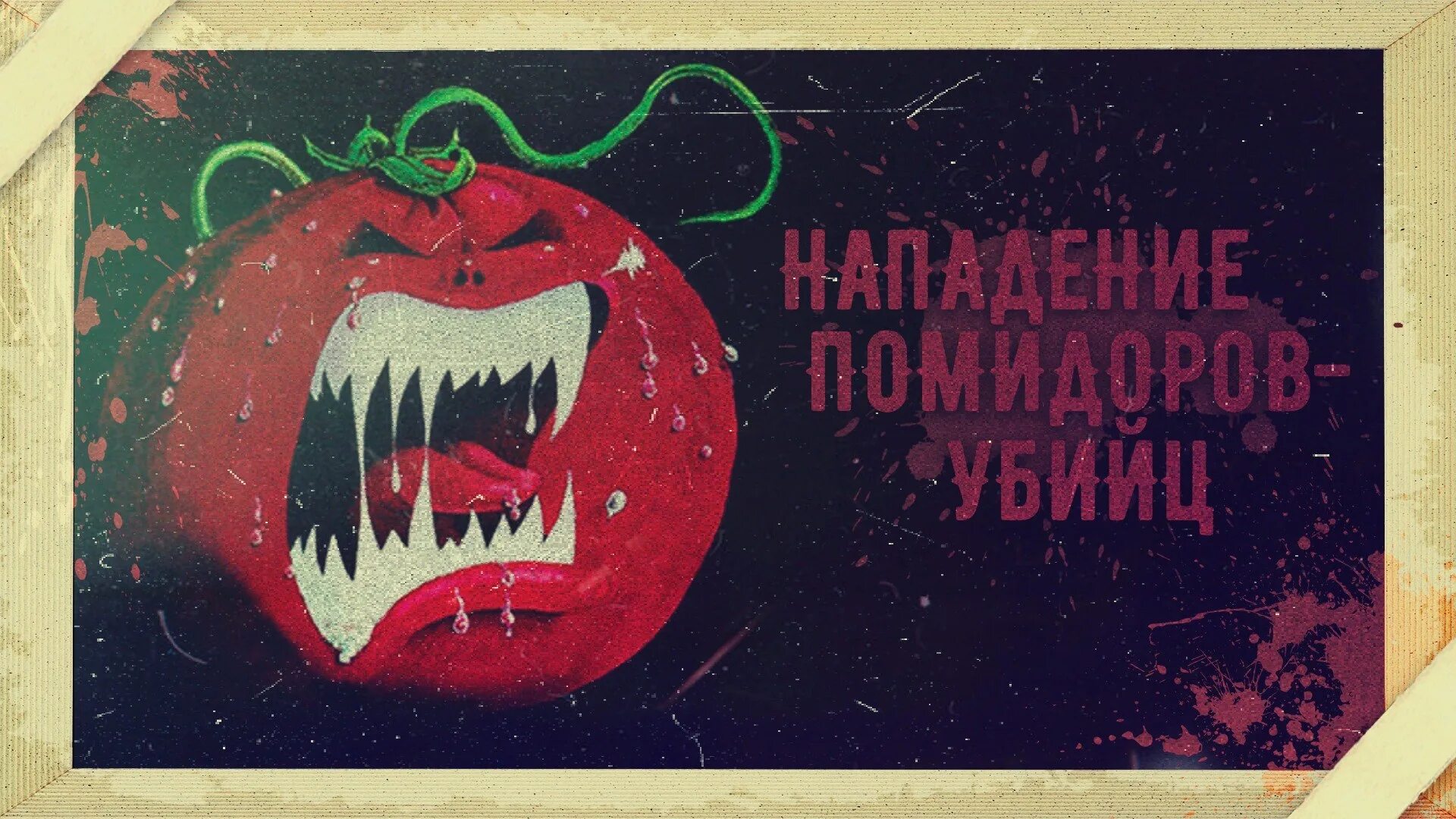 Нападение помидоров. Атака помидоров-убийц 1978. Гигантские помидоры убийцы. Нашествие помидоров убийц.