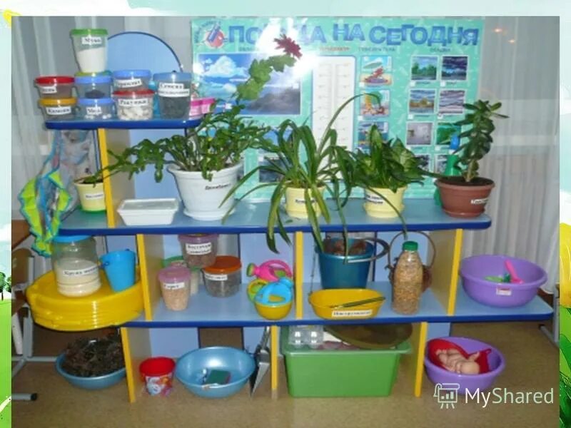 уголок живой природы в детском саду. экологический уголок. работа в уголке природы в младшей группе. уголок природы в детском саду младшая группа. ухаживание за растениями в детском саду.