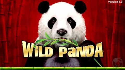 Wild pandas