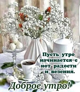 И снова утро доброго дня