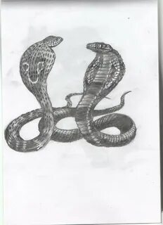Рисовать 2 головами