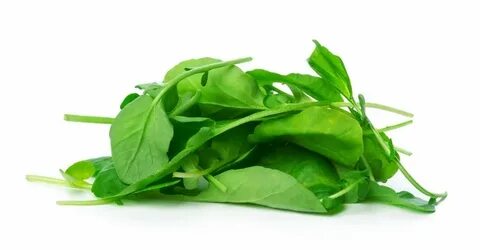 Вкус листа