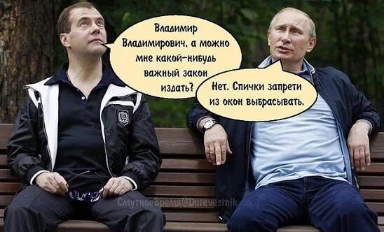 Придумайте смешной закон. Автор сборника дурацких законов 5 букв. Смешные законы. Автор сборника дурацких законов 5 букв. Автор сборника дурацких законов 5 букв.