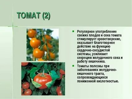 Какое растение имеет плод томат