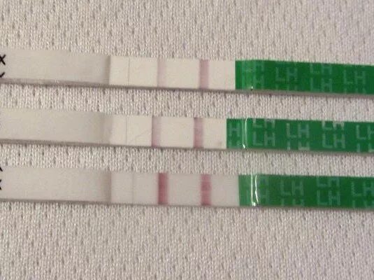 Слабая полоска на овуляцию что значит. Вторая полоска на тесте овуляции. Полоски теста на овуляцию. Тест на овуляцию две полоски. Слабая тестовая полоска на тесте на овуляцию.