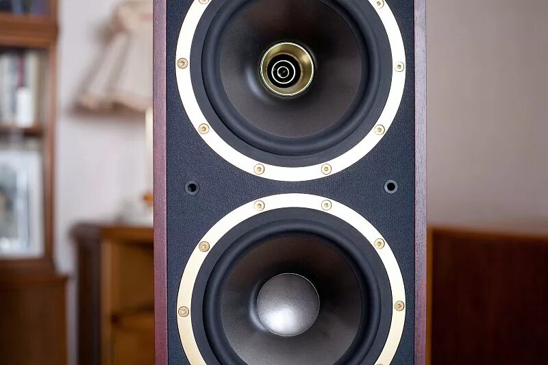 Tannoy SENSYS Gold d2. Tannoy Gold 8. Tannoy SENSYS 2. Tannoy SENSYS d1.