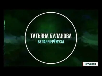 Белая черемуха буланова минус