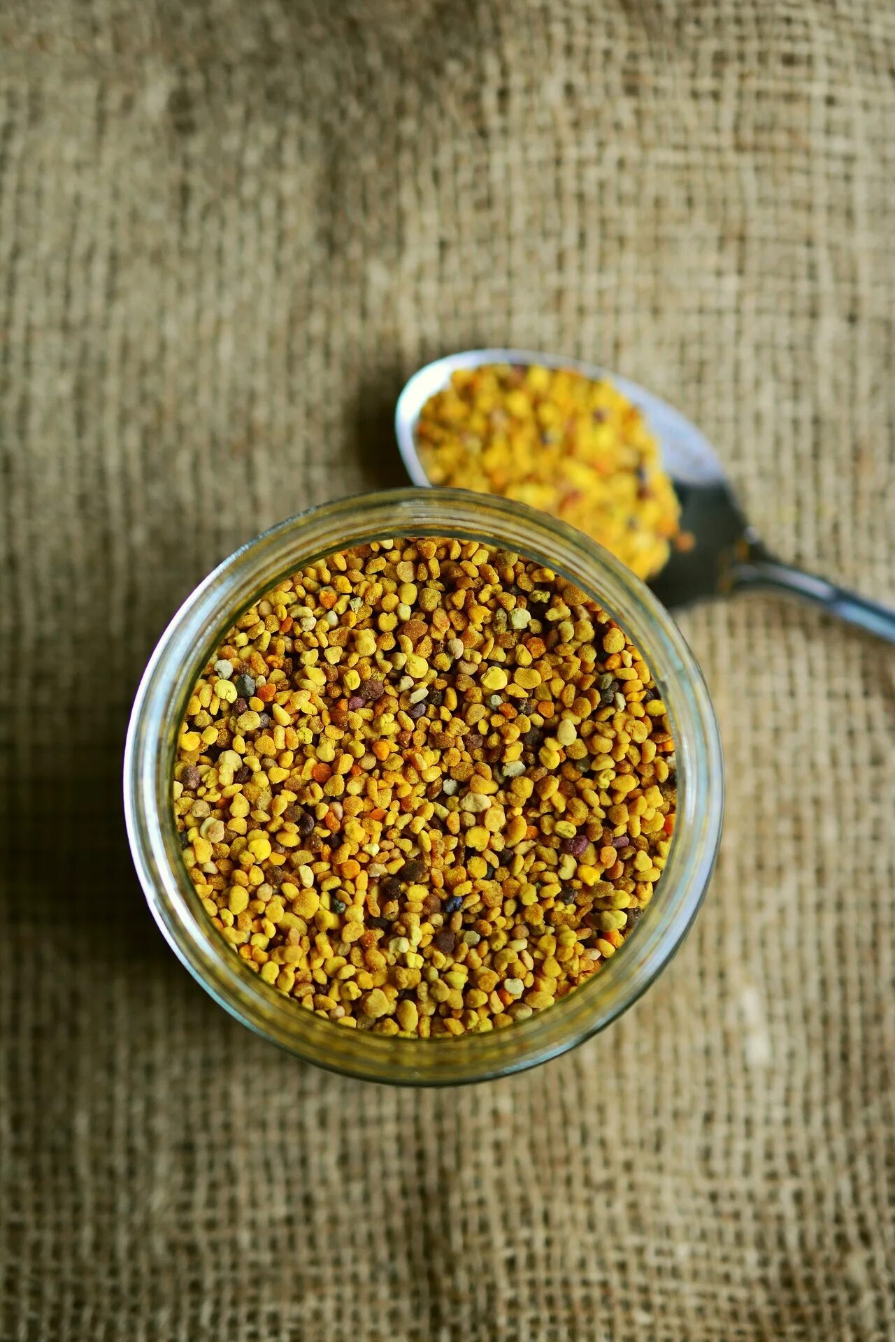 Пчелиная пыльца (Bee pollen). Цветочная пыльца и перга. Пчелиная пыльца обножка. Перга медовая. Пыльца прием