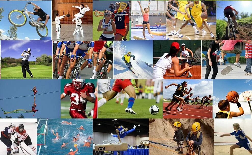 O sport 1. Виды спорта. Несколько видов спорта. Спортивные виды спорта. Физкультура и спорт.