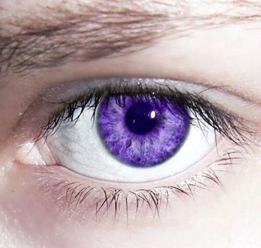 Генезис глазная. Генезис Александрии фиолетовые глаза. Цвет глаз фиолетовый и гетерохромия. Сиреневые глаза. Фиолетовый цвет глаз.
