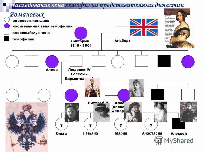 Родословная Романовых гемофилия. Родословная королевы Виктории наследование гемофилии. Генеалогическое Древо наследования гемофилии в семье Романовых. Родословная семьи Романовых гемофилия. Гемофилия королевы