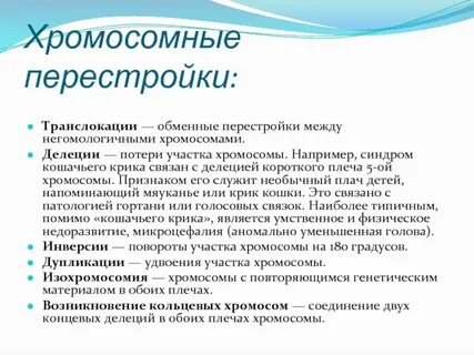 Поворот участка хромосомы на 180 это