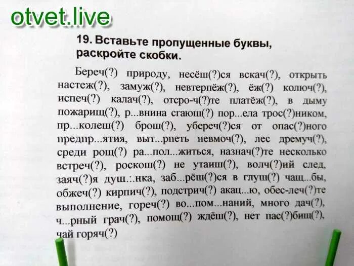 Диктант природа обычной молнии разгадана давным давно. Диктант берегите природу. береги природу диктант. вставьте пропущенные буквы раскройте скобки беречь. диктант 5 класс по русскому языку береги природу.