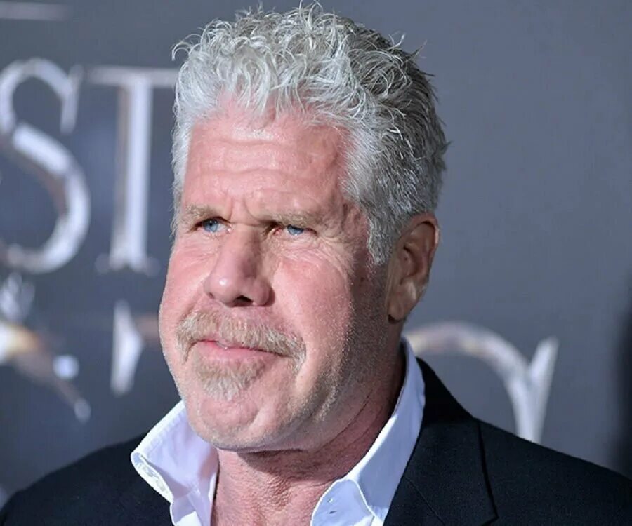 Рон перлман 2023. Рон перлман кот. Рон перлман 2022. Рон перлман 2022. Рон перлман 2022.