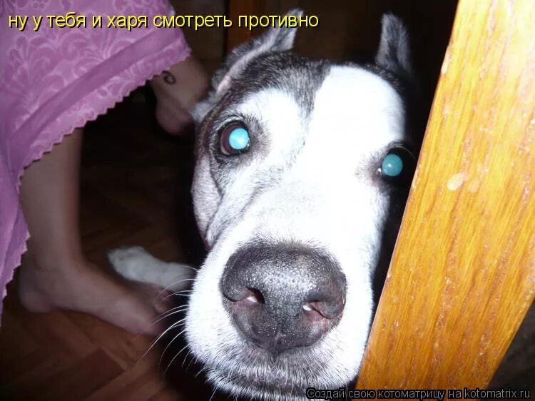 ну противно. ну противно. ну противно. мем лицо. ты противная картинки.